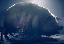 Reanimal: ecco il gioco degli autori di Little Nightmares. Primo trailer da gamescom 2024 tarsier studios (little nightmares) teaser nuovo progetto