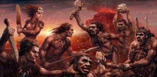 Homo Sapiens e fanboysmo editoriale gaming